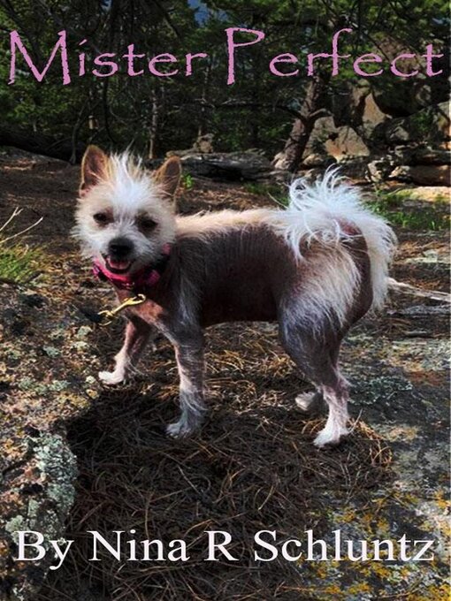 Title details for Mr. Perfect by Nina R. Schluntz - Available